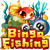 Bingo Fishing spintime casino login game