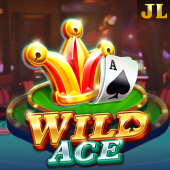 Wild Ace VIP game